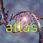 Генетический тест атлас